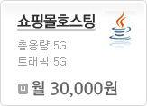 쇼핑몰 호스팅
