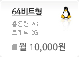 64비트형