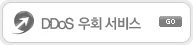DDos 우회 서비스
